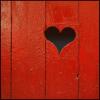 Amour