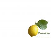 Citron d'arbre